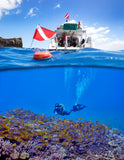 Garmin Descent™ S1 Buoy - Go Dive Tasmania