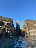 Snorkelling/Freedive Session (1/2 Day) - Go Dive Tasmania