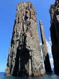 Snorkelling/Freedive Session (1/2 Day) - Go Dive Tasmania