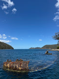 Snorkelling/Freedive Session (1/2 Day) - Go Dive Tasmania