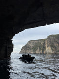 Snorkelling/Freedive Session (1/2 Day) - Go Dive Tasmania