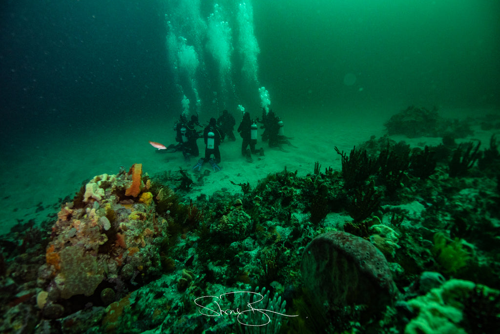 PADI Advanced Open Water Course - With Elizabeth College June 2019