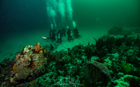PADI Advanced Open Water Course - With Elizabeth College June 2019
