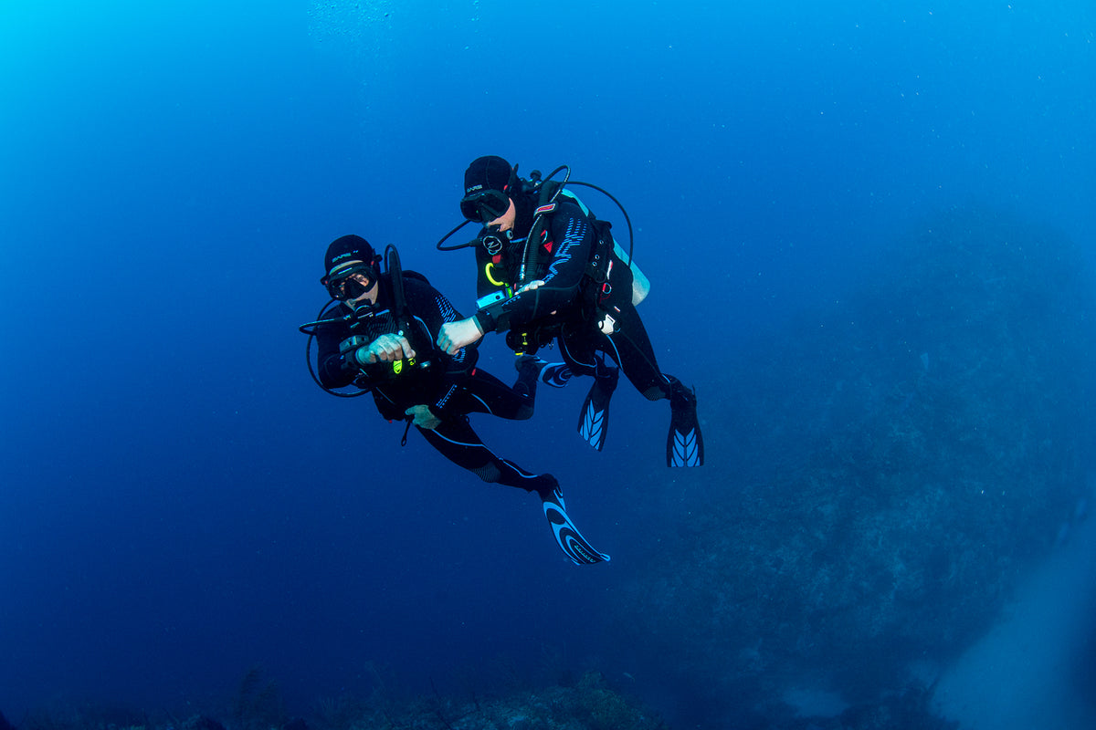 Diving Wetsuits – Go Dive Tasmania