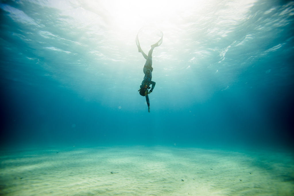 PADI Freediver Course — Explore Tasmania on One Breath