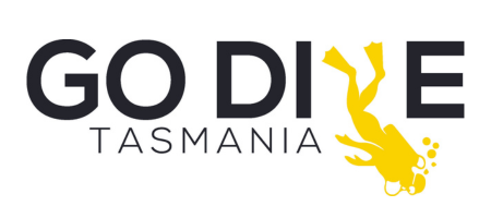 Palau Micronesia - October 2025 – Go Dive Tasmania