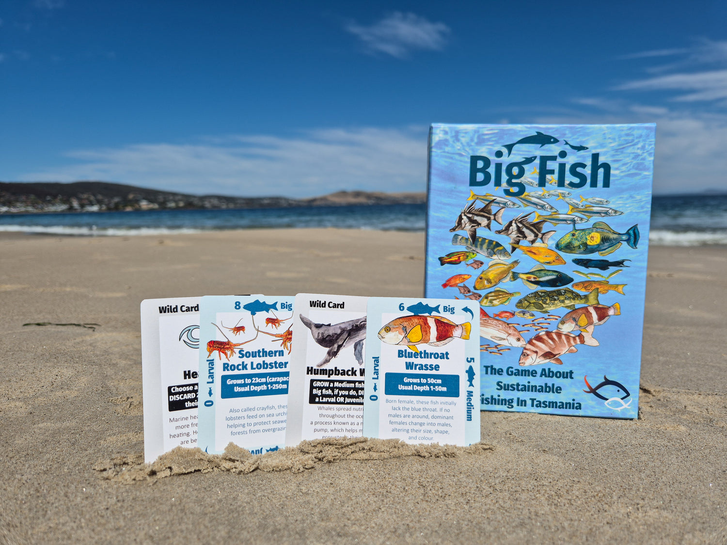 Big Fish Card Game - Tasmanian Sustainable Fishing Game - Go Dive Tasmania
