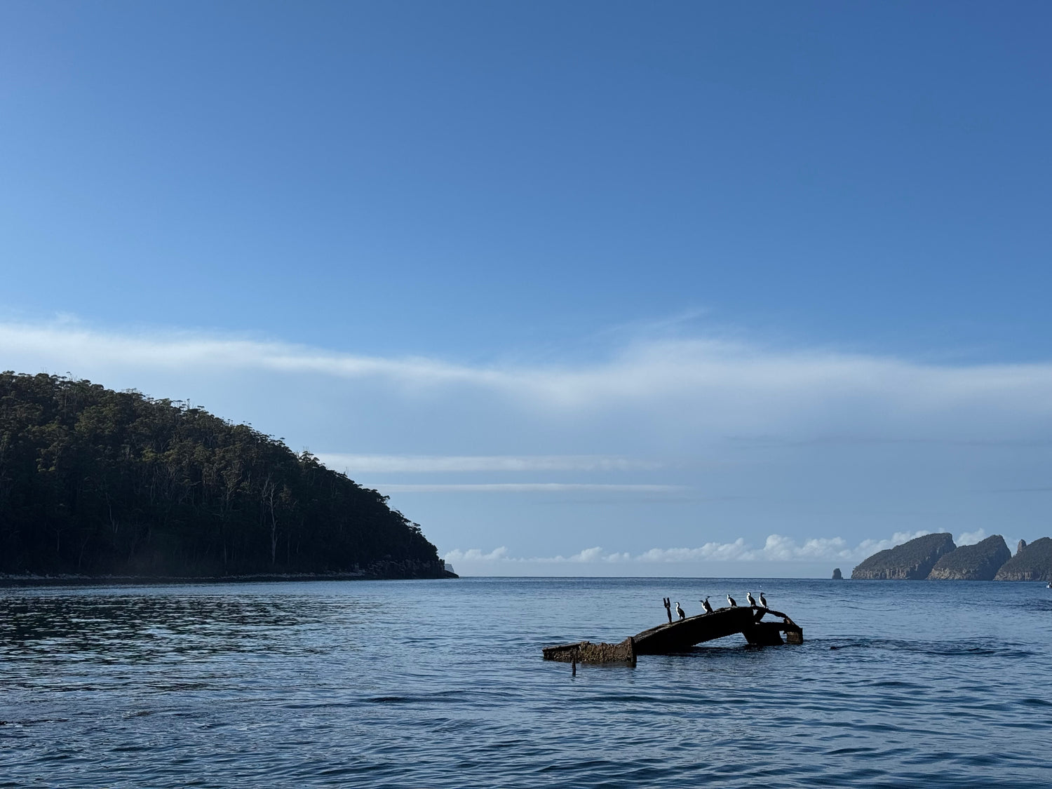 Snorkelling/Freedive Session (1/2 Day) - Go Dive Tasmania