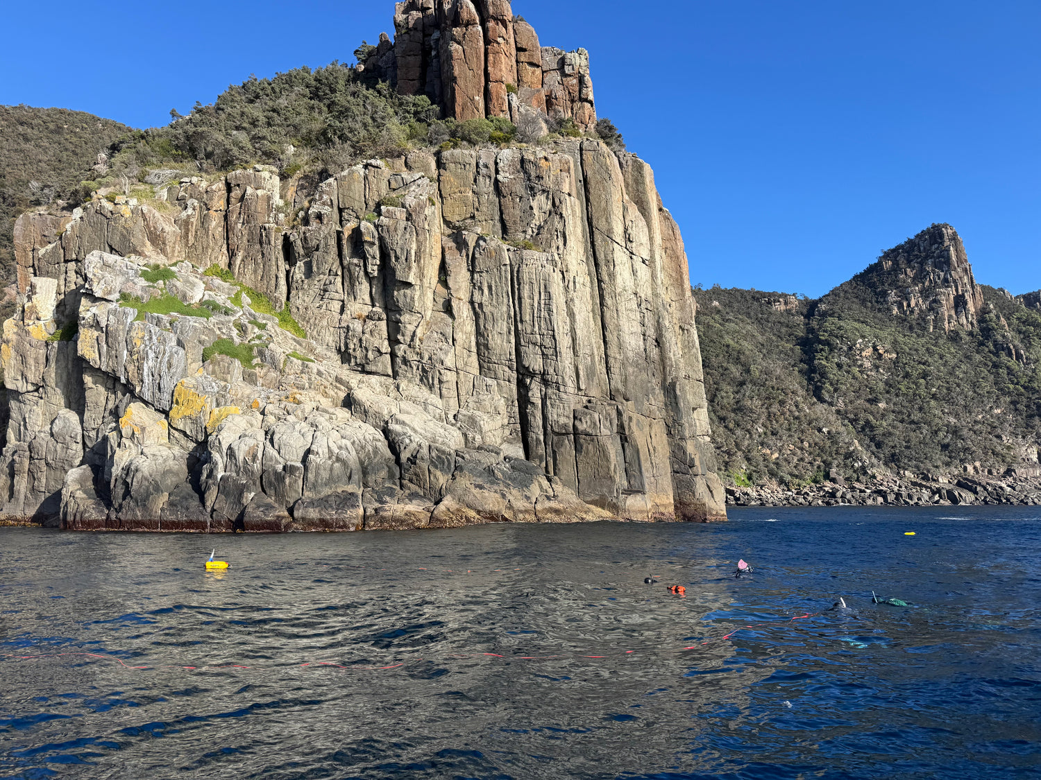 Tas Spearos - Spear/Freedive Weekend 2026 - Go Dive Tasmania