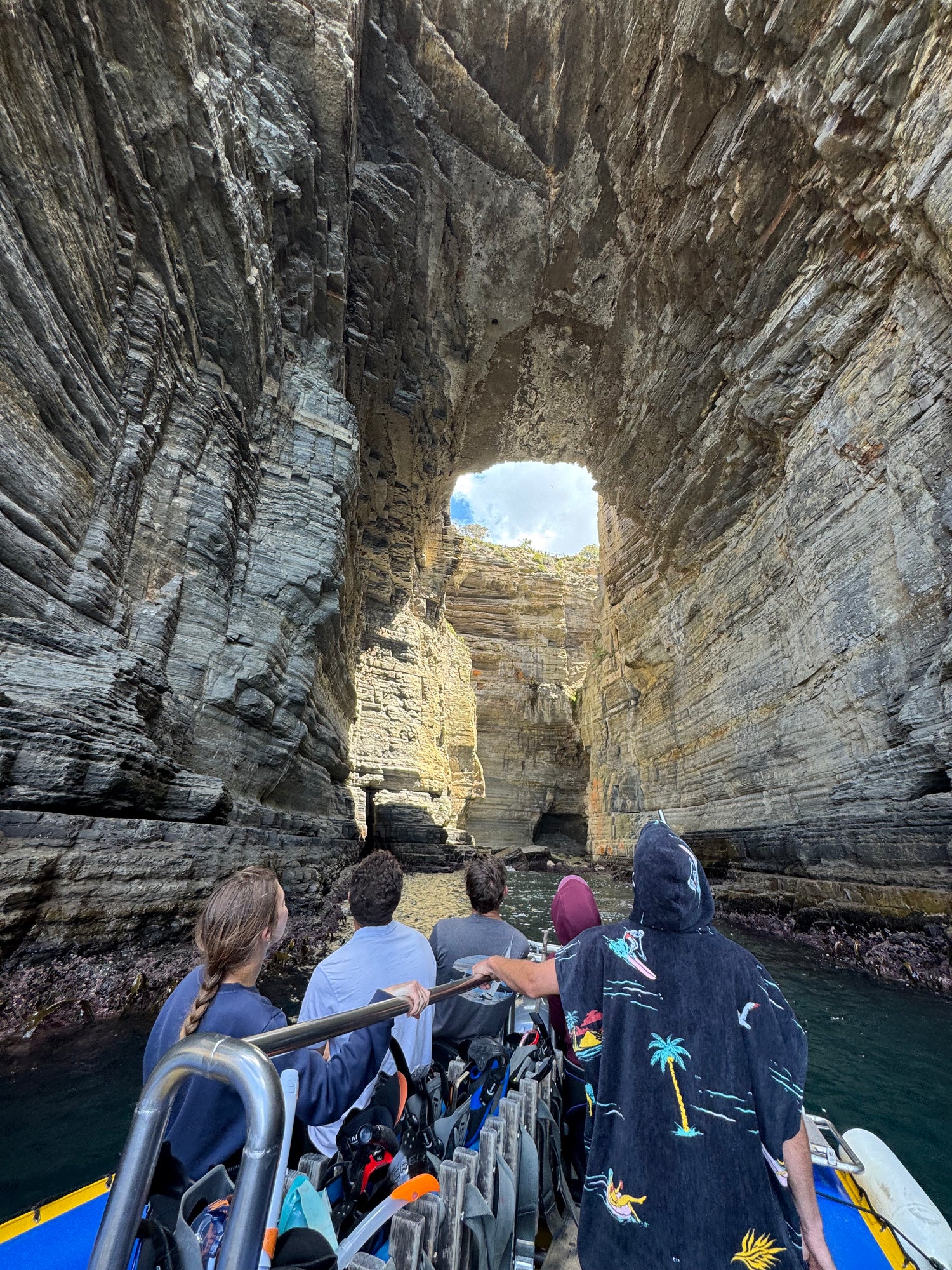Snorkelling/Freedive Session (1/2 Day) - Go Dive Tasmania