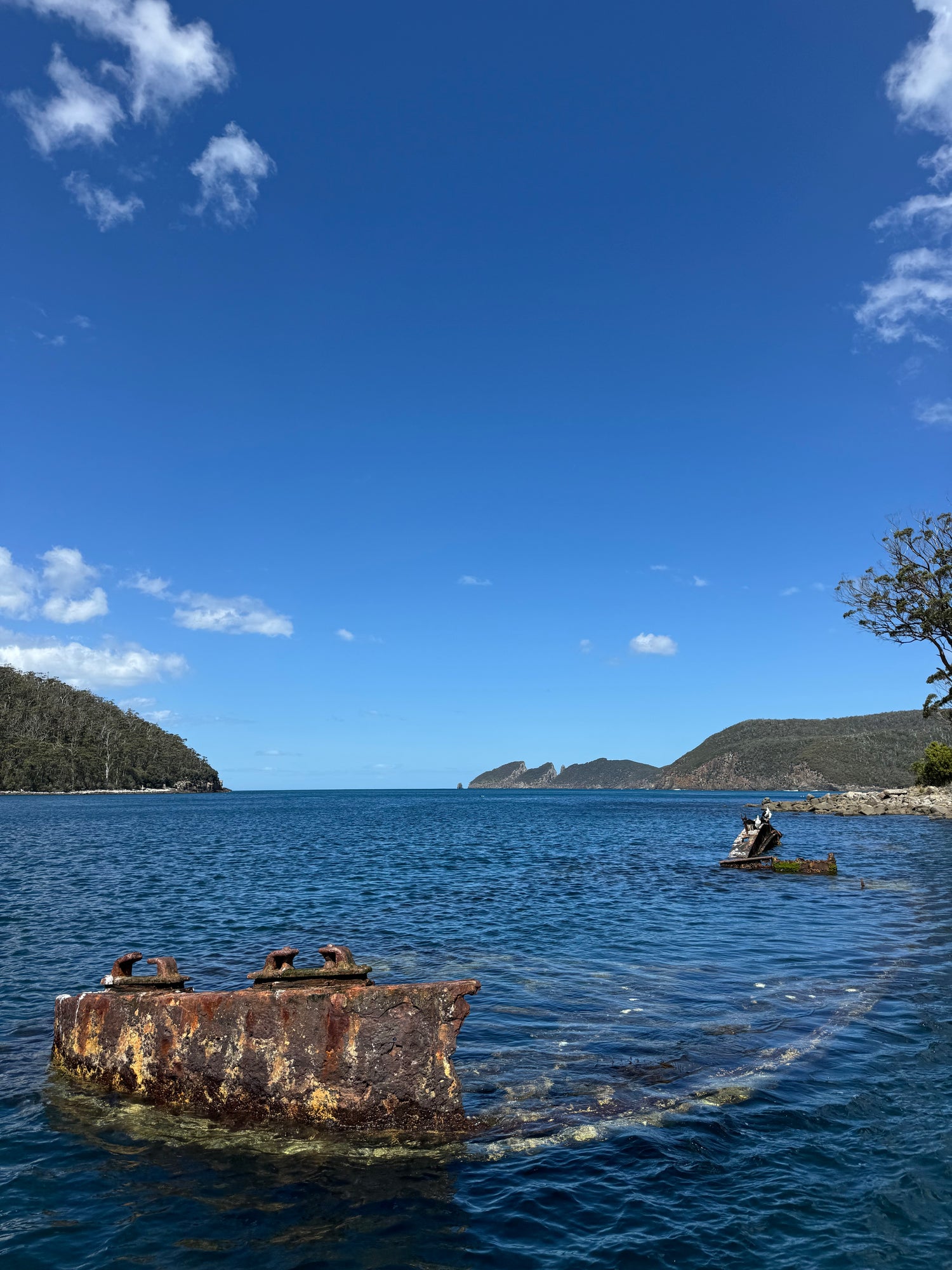 Snorkelling/Freedive Session (1/2 Day) - Go Dive Tasmania