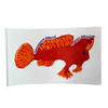 Spotted Handfish - Sticker - Go Dive Tasmania