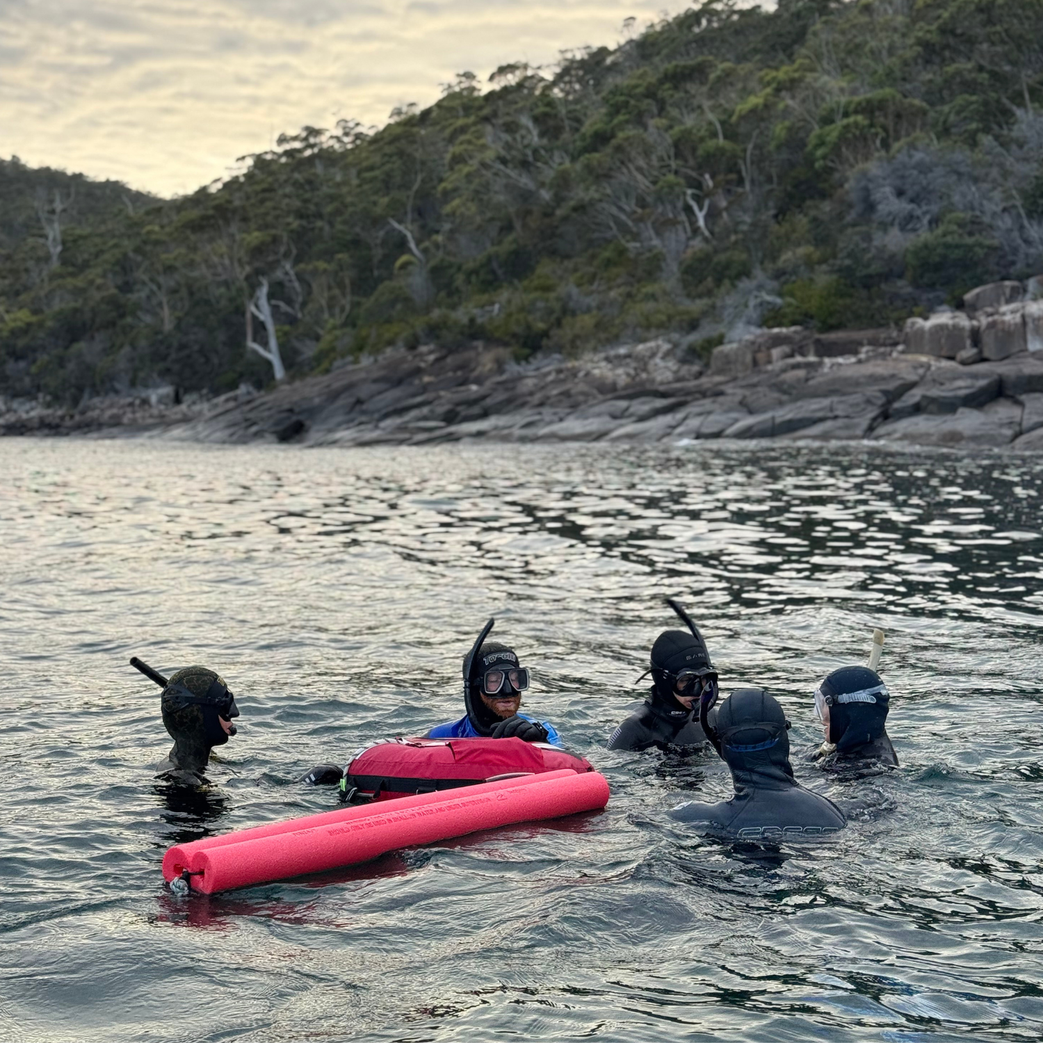 PADI Freediver Course - Go Dive Tasmania