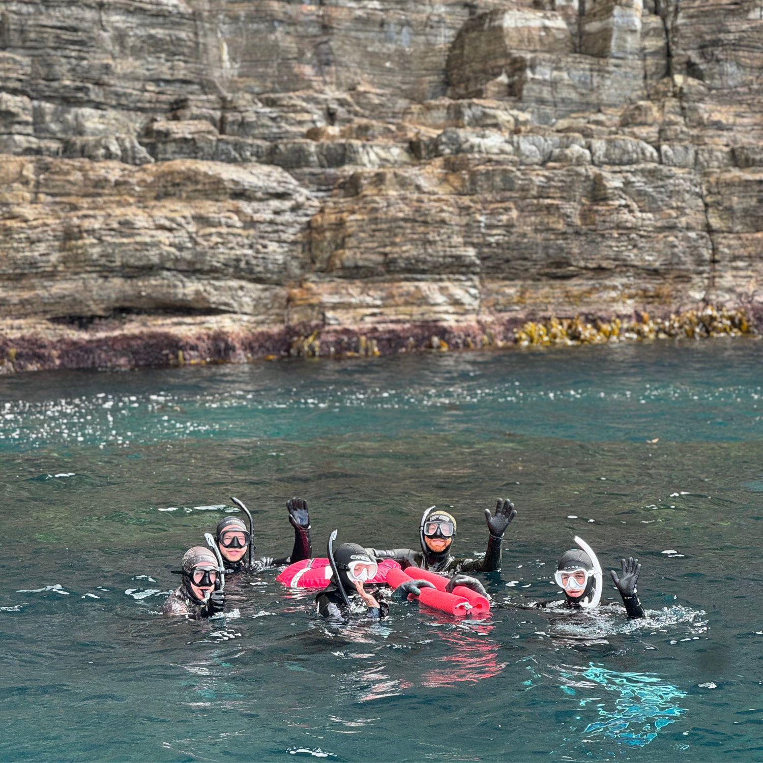 PADI Freediver Course - Go Dive Tasmania