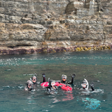 PADI Freediver Course - Go Dive Tasmania