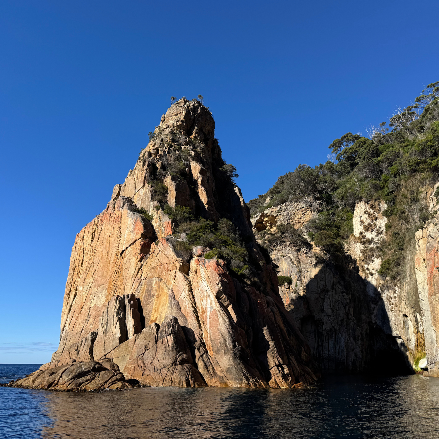 PADI Freediver Course - Go Dive Tasmania