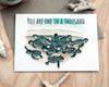 You are one in a thousand - Sea Turtle Hatchling Card - Go Dive Tasmania