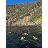 Snorkelling/Freedive Session (1/2 Day) - Go Dive Tasmania