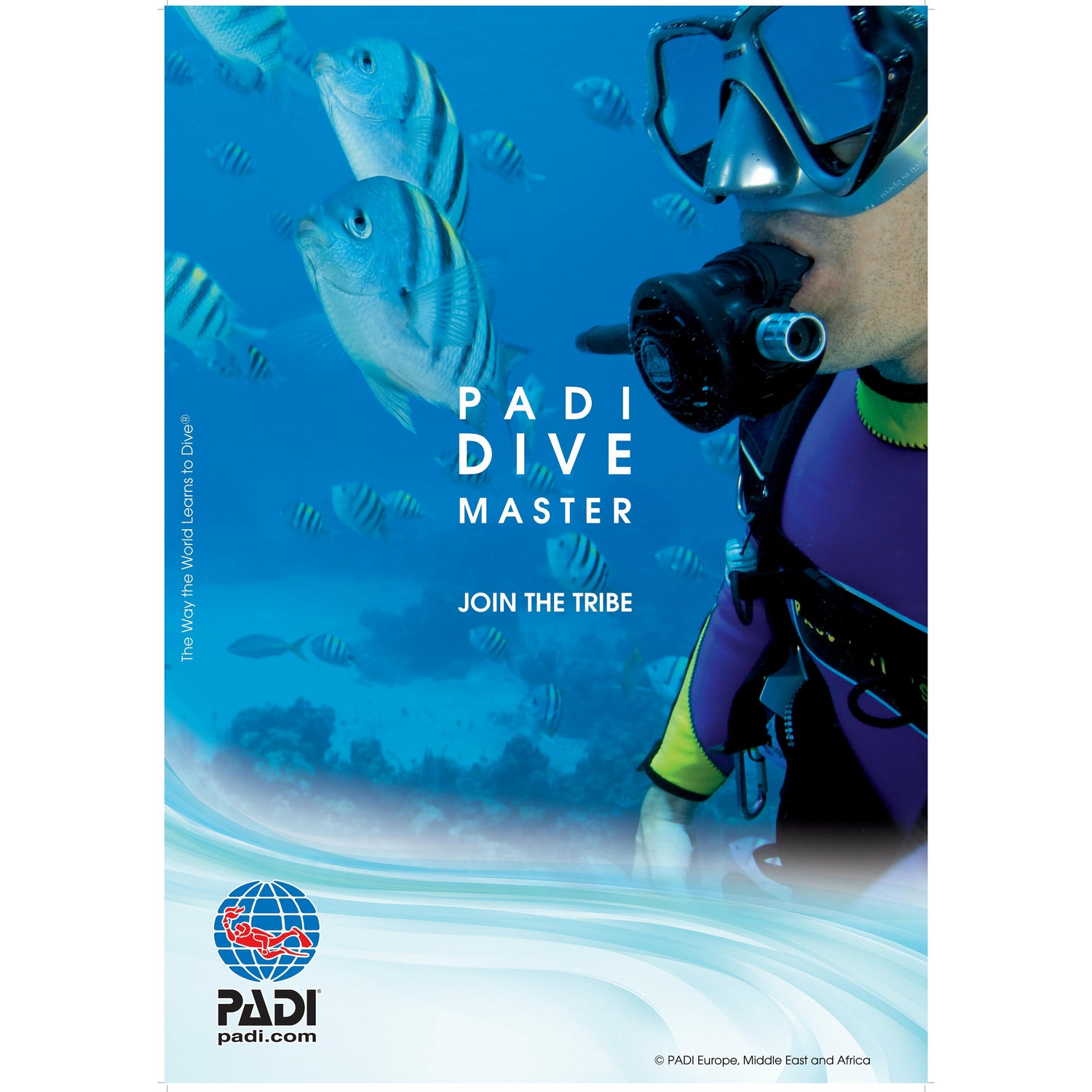 PADI Divemaster Course - Go Dive Tasmania